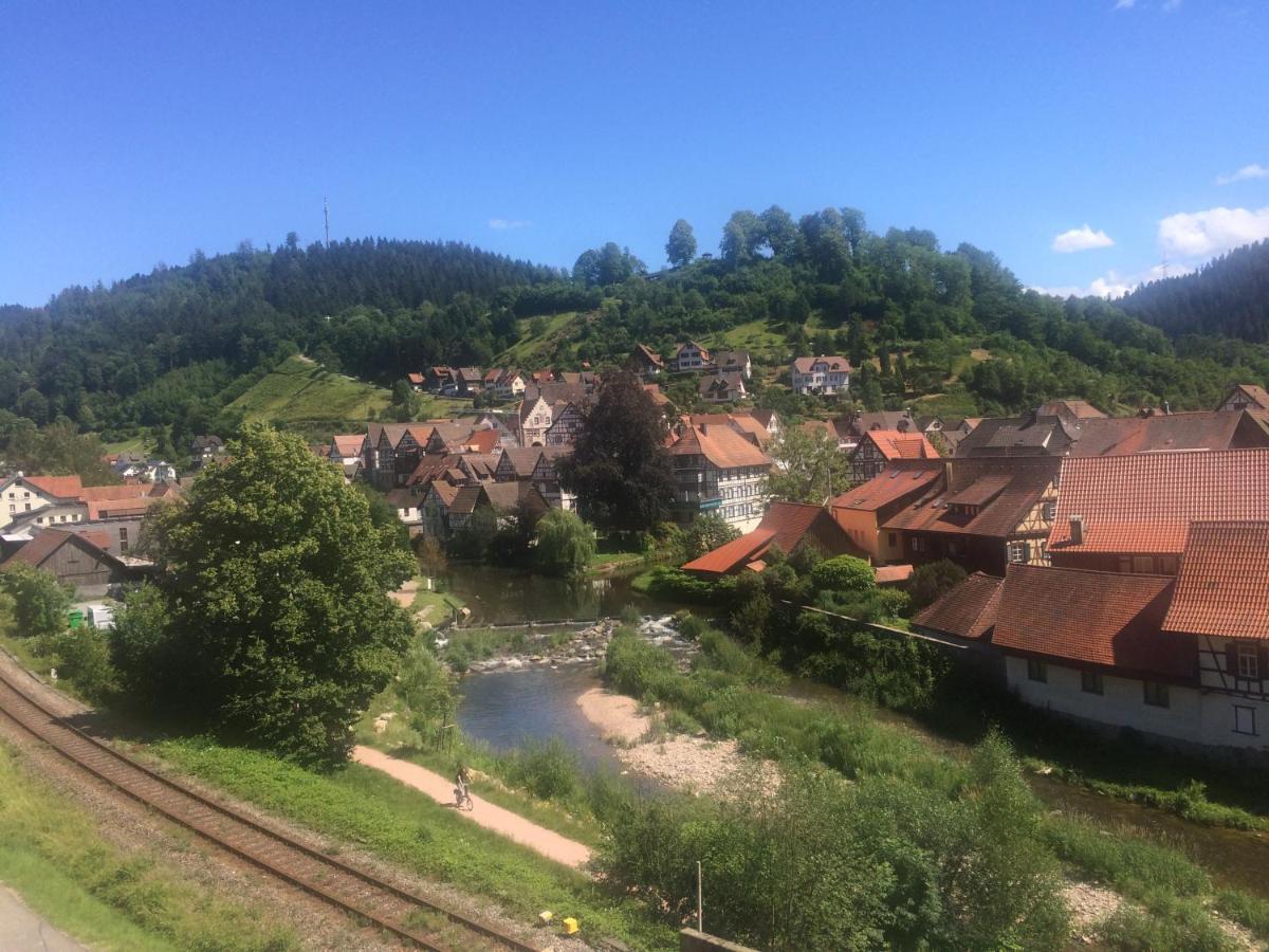 Urlaub Mit Blick Auf Schiltachs Fachwerkhaeuser Экстерьер фото